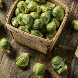 Long Island, Brussels Sprout Seeds